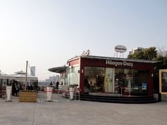 晒太阳-哈根达斯(滨江店)