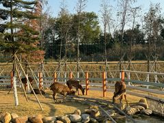 -盈香心动乐园