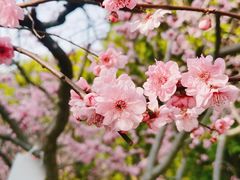 -静安雕塑公园