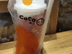 -CoCo都可(漫乐城店)
