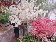 -卓花境Flowerwonderland花店