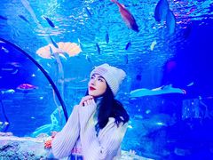 -沈阳海洋探索中心