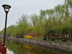 -元大都城垣遗址公园