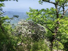 -罗田薄刀峰风景区
