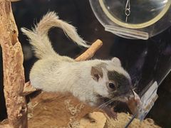 -太平洋海底世界