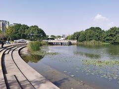 -新江湾城公园