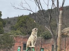 -无锡动物园·太湖欢乐园