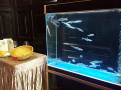 -翠府(翠湖北路店)
