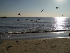 -老虎石海上公园