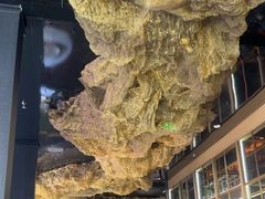 -顶特勒·黄鱼馆·特色菜(上海大世界店)