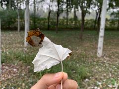 -东郊湿地公园
