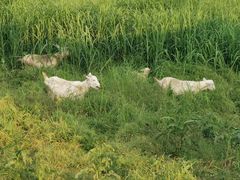 -乌龙涧铁道铁轨景
