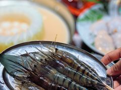 -禄婶鸡煲·打边炉