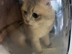 -瑞鹏·疫苗·绝育·宠物医院(广九店)