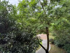 -成都安仁福朋喜来登酒店