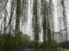 -莲湖公园