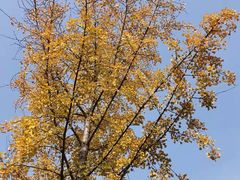 -洨河生态公园