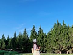 -汉长安城未央宫国家考古遗址公园