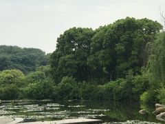 -白马涧龙池景区