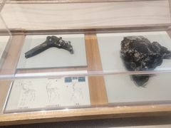 -舟山博物馆