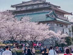 -武汉大学-樱园
