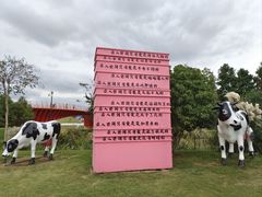 -荷兰花海