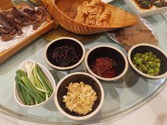 -食家鸽园