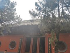 -洛阳白马寺