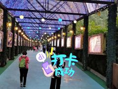 -广州长隆国际大马戏