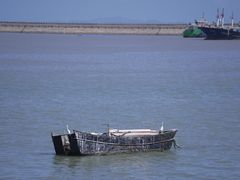 -丰收渔港饭店(嵊泗店)