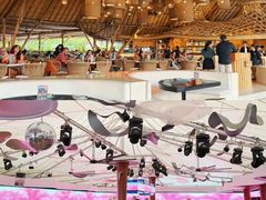 -FINNS Beach Club