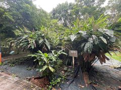 -广东中医药博物馆
