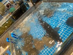 -半岛听涛蒸汽海鲜自助(K11店)