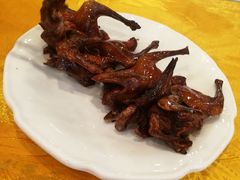 -鸿达渔港