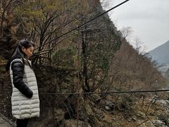 -黑河国家森林公园