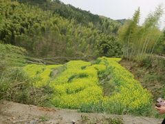 -灵山景区梯田