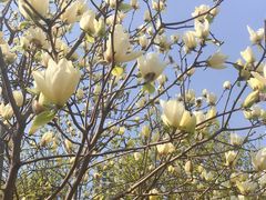 -白塘生态植物园