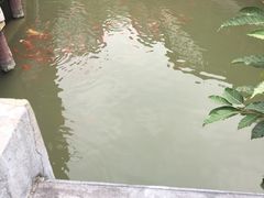 -龙潭水乡