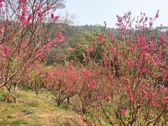 -白水带风景区体育公园
