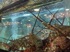 -叙亨轩海鲜火锅