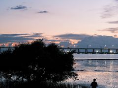 -宝安西湾红树林湿地公园