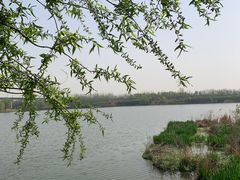 -西安浐灞国家湿地公园