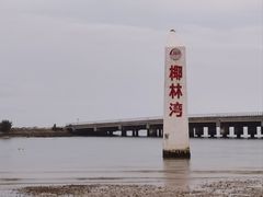 -东郊椰林