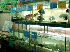 水产区-盐通酒家(金桥湾清水苑店)