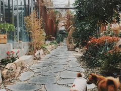 -桉树林A coffee 森林餐厅(三圣乡店)