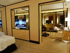 -拉斯维加斯永利酒店