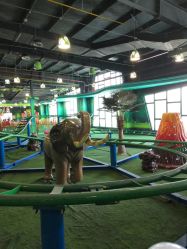 -维佳童话镇演出现场(徐东店)