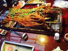-柴厨柴火鸡&羊大队烤全羊(双福美食公园店)