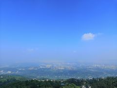-大金鹰园