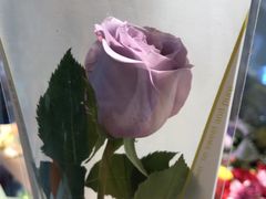 -花未央花店·WEYOUNG